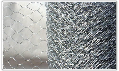 1200mm X 25mm X 50Mtr Hexagonal Net Wire Mesh – Michael Cooney & Sons Ltd.